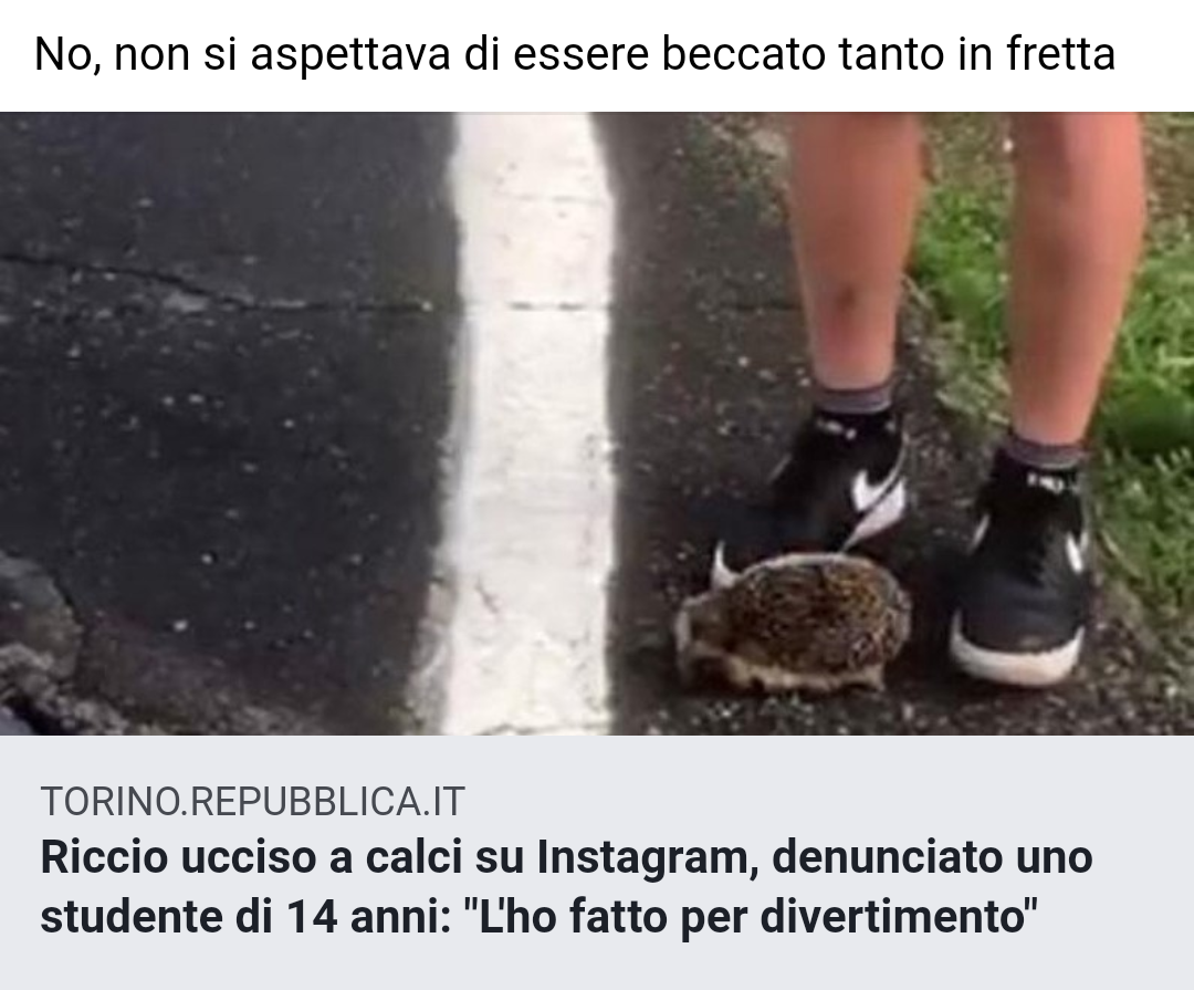 È quando leggo ste cose che penso