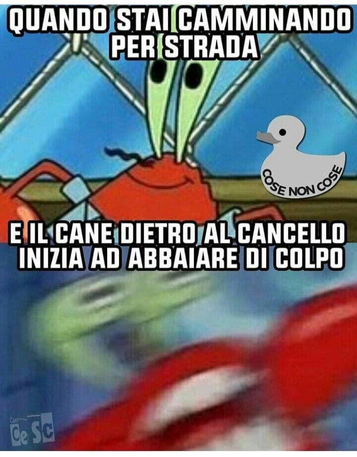 Ripropongo questa perla sempre valida