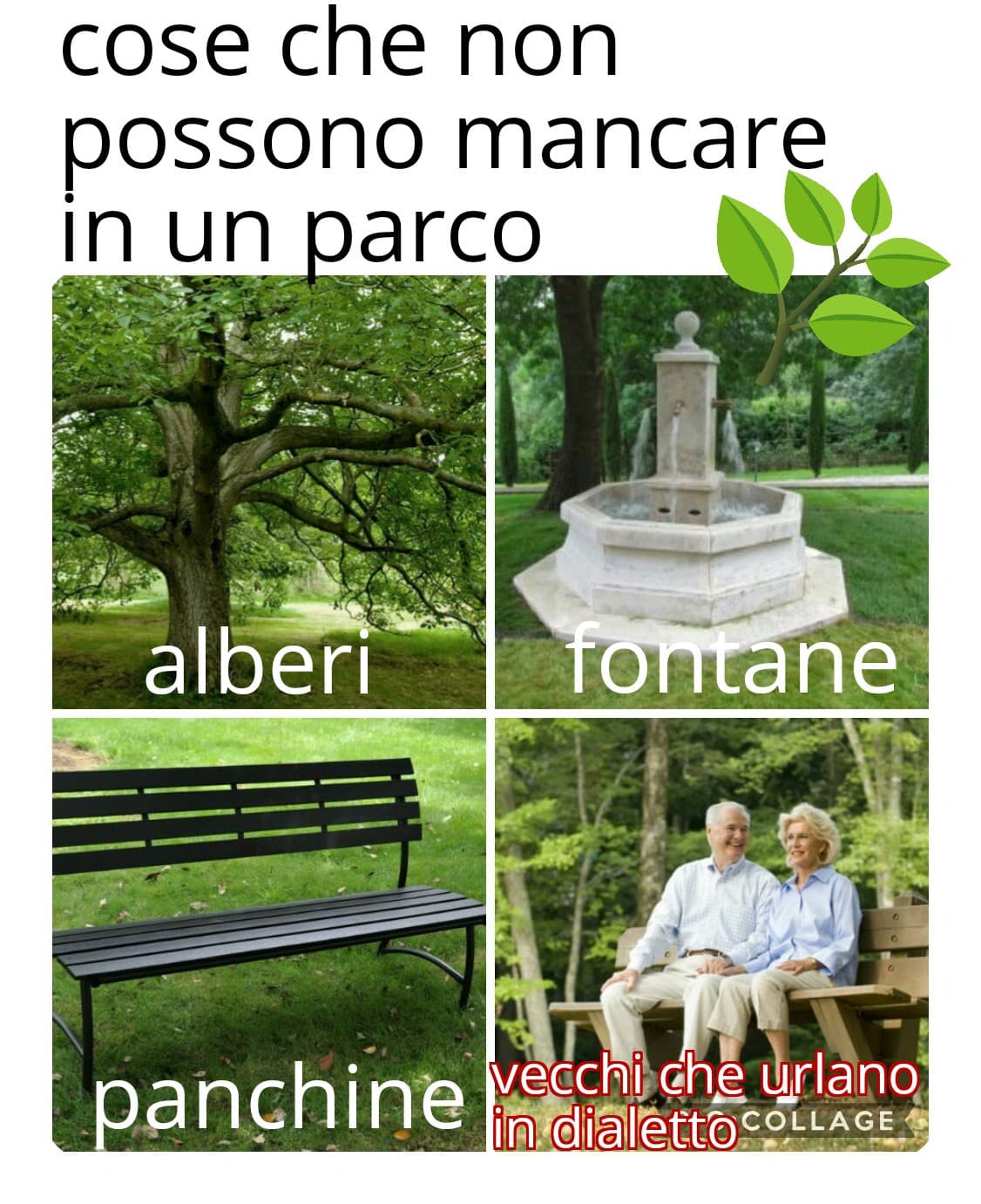 quelli non mancano mai?