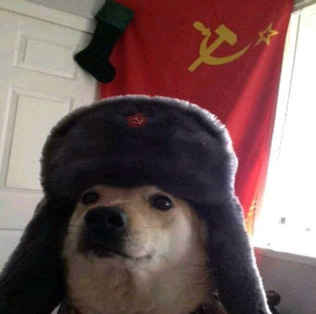 doggo sovietico