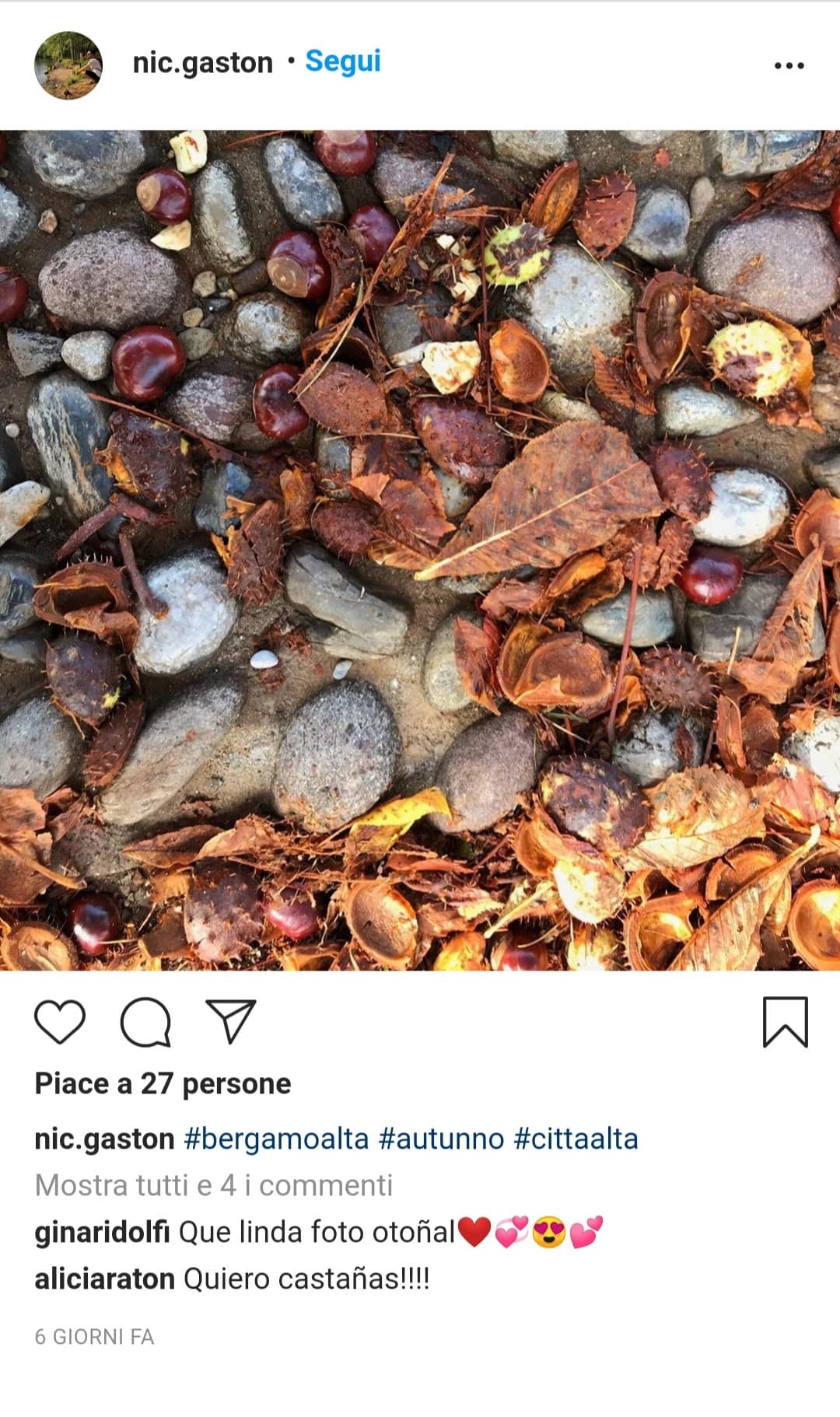 Ma perché i commenti nel profilo Instagram di nic (il creatore di insegreto) sono in spagnolo ? ?