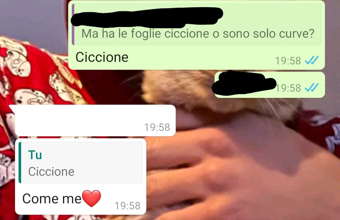 @TiPicchio e la sua considerazione di sé