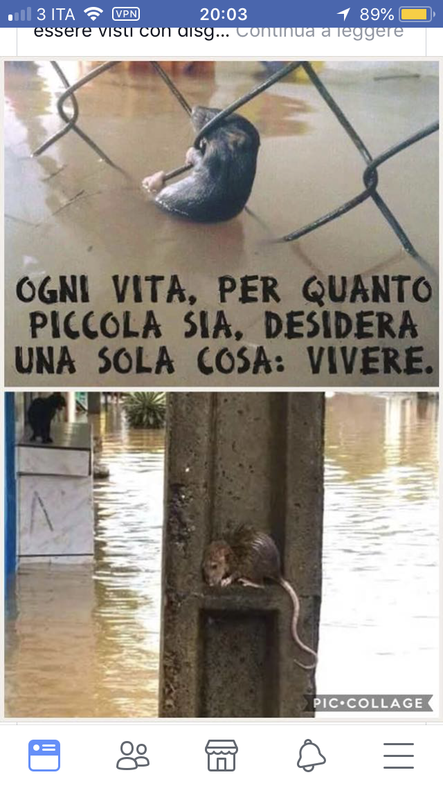 Ogni vita per quanto piccola desidera vivere ❤️❤️❤️