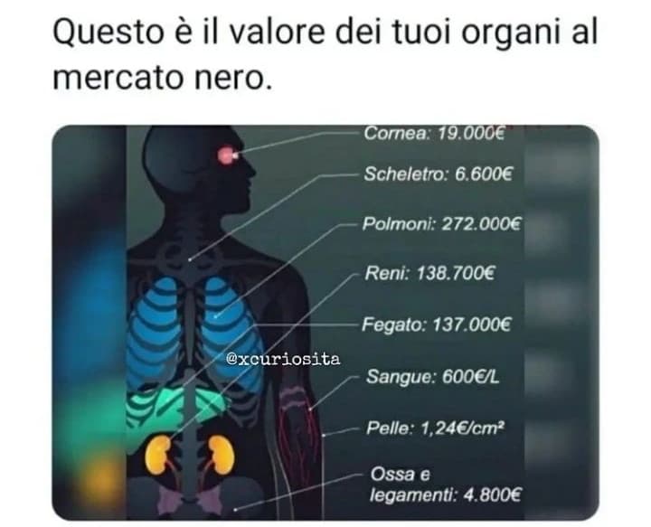 Faccio un appello agli emo.. quando vi tagliate mettete un recipiente sotto, poi vendere il sangue e diventare ricchi 