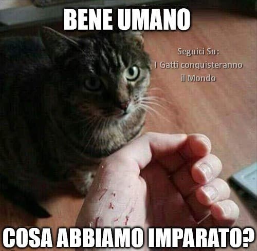 Quanti ricordi... E quanti vaccini dell'  antitetanica... 