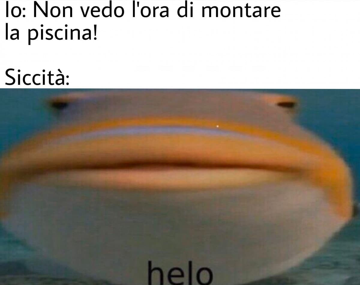 Ho fatto un memino perché sono triste 