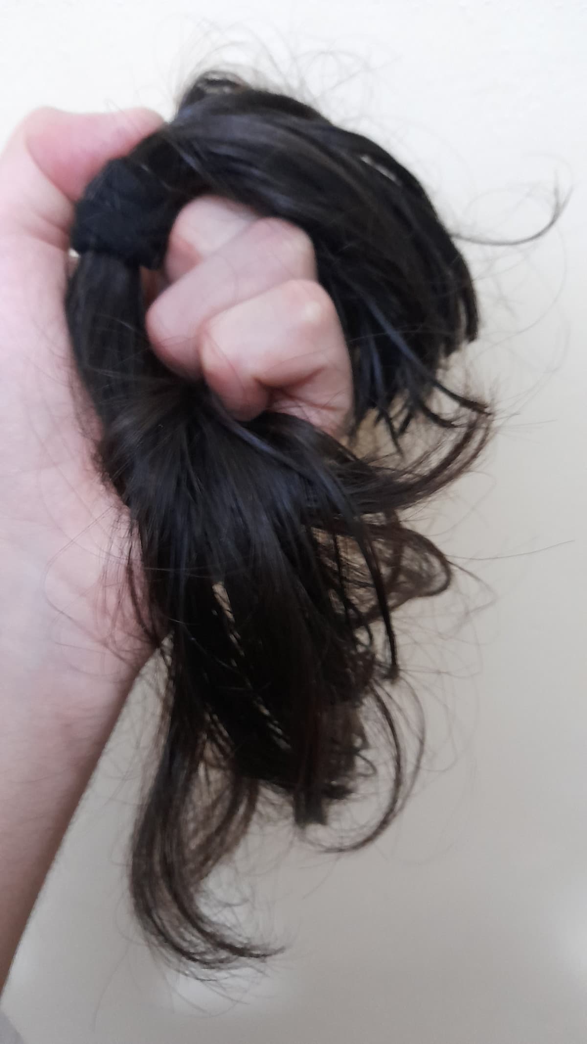 Ragazzi, OFFERTA IMPORTANTE E SPECIALE?VENDO CAPELLI ASTA ? che l'asta ai capelli di CORNHOLIO abbia inizio.