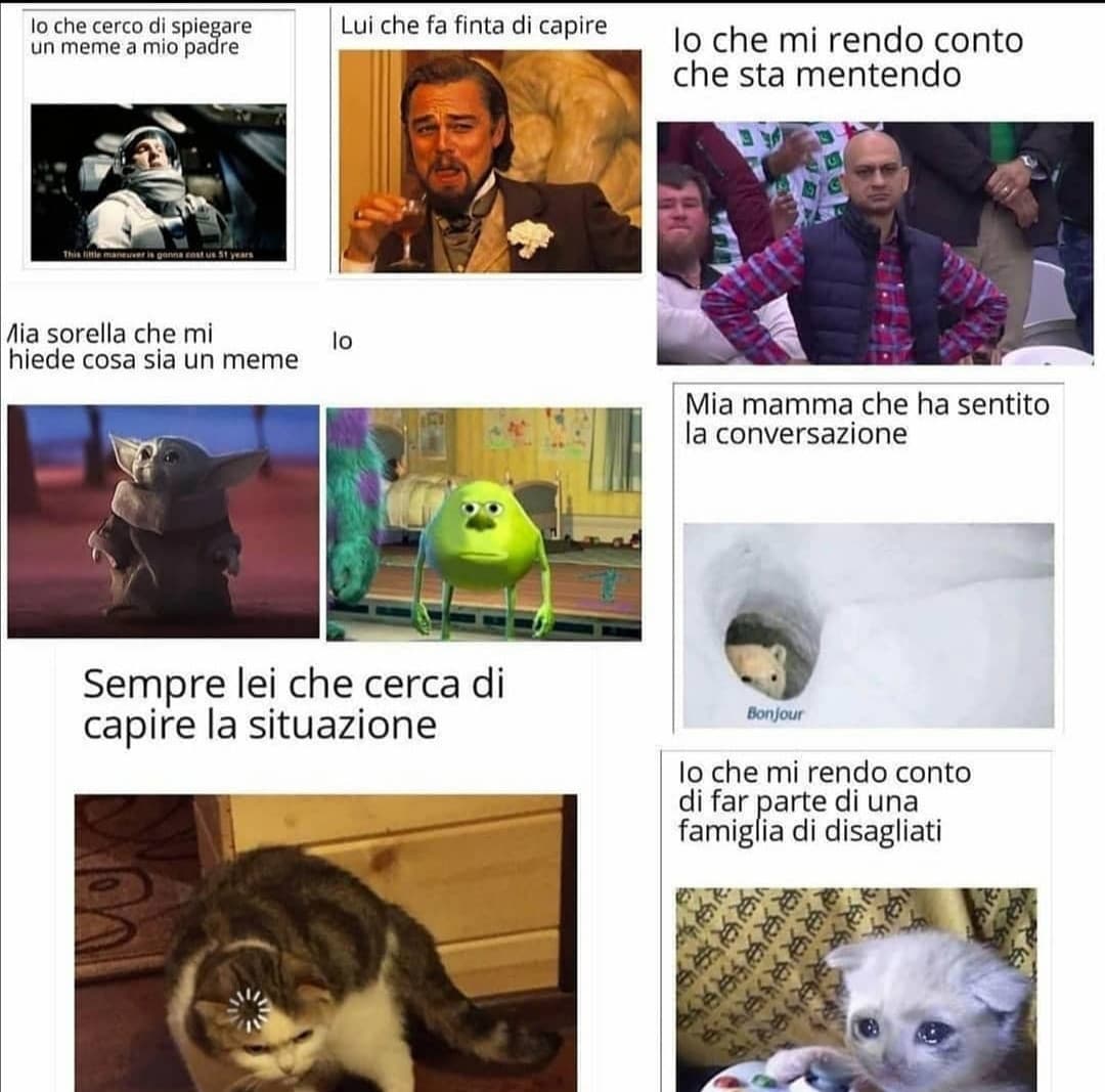 Il meme.