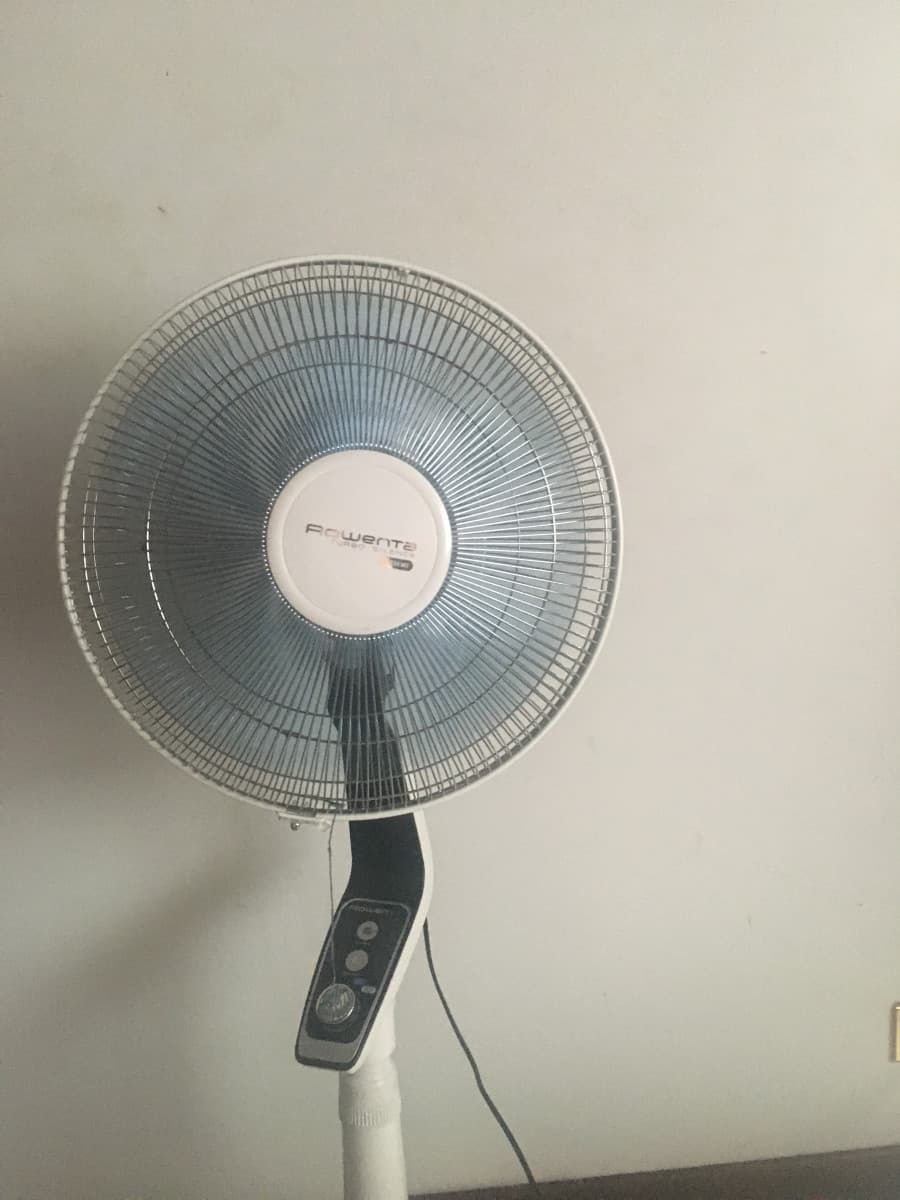 ventilatore del mio cuorrrrrrrrr