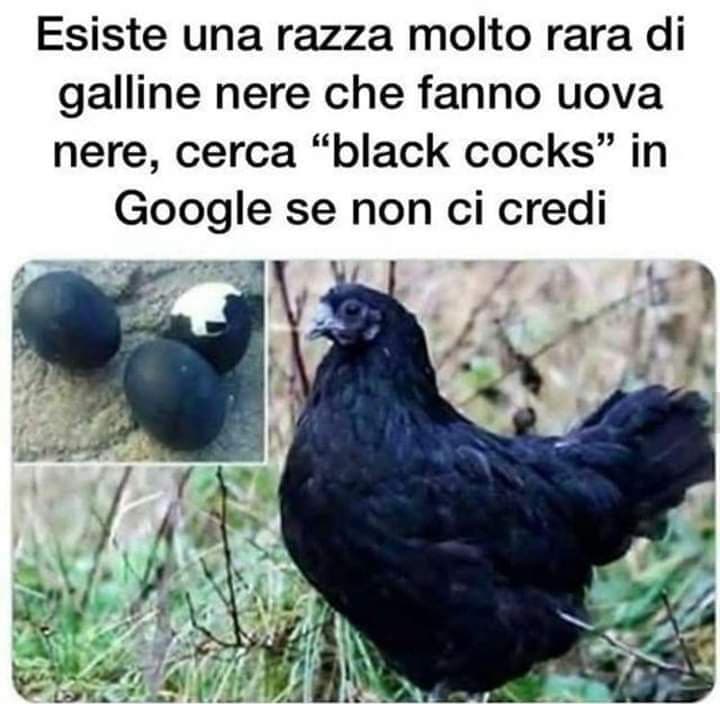 Ed è vero vero