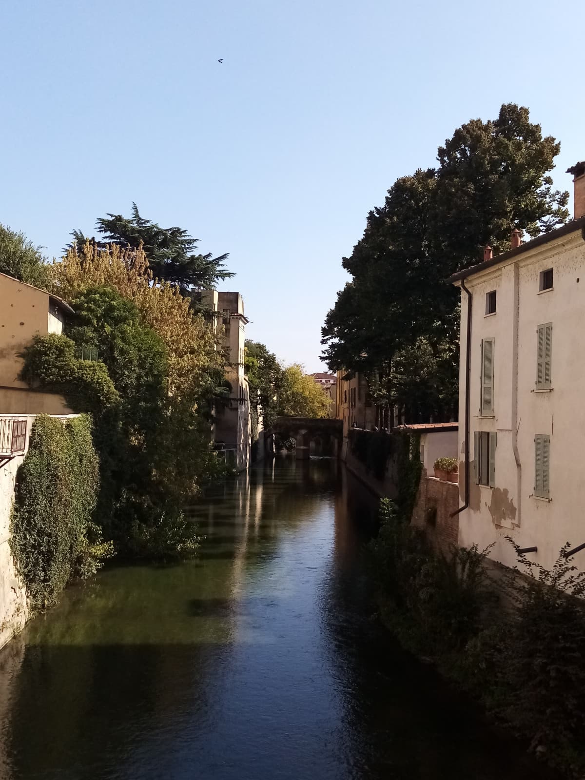 Buongiorno, oggi salto scuola ?