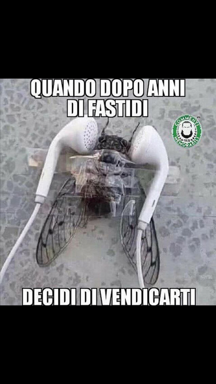 ahahah ecco 