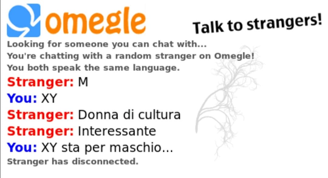 Poco fa su Omegle ho avuto questo scambio di battute: breve ma intenso 