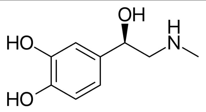 Quello nella foto è il benzene o l'adrenalina? Io non studio chimica ma Il benzene me lo ricordavo un pochino diverso.. Giusto un po' 