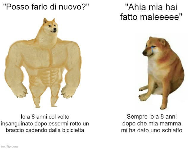 Il mio primo(e probabilmente unico) meme