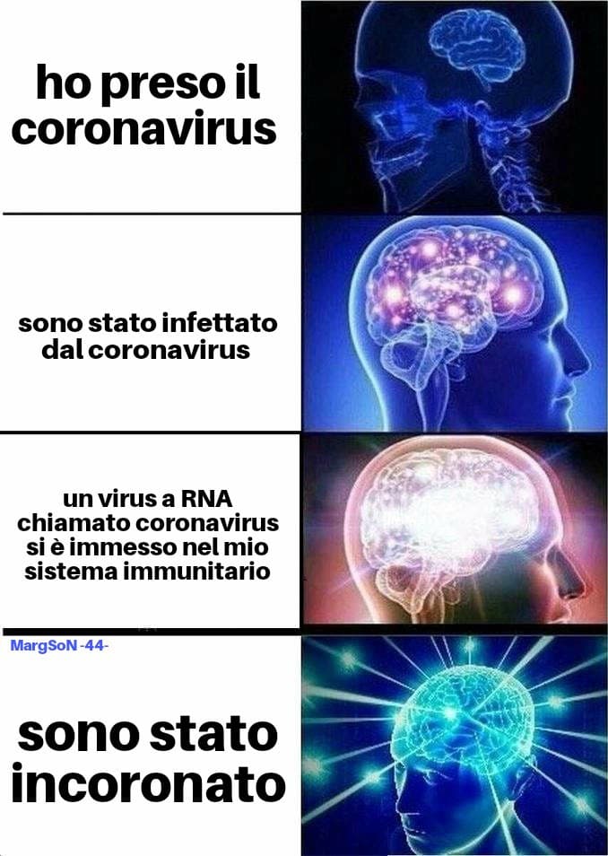 La mia mente ha fatto uscire questa idea fantastica