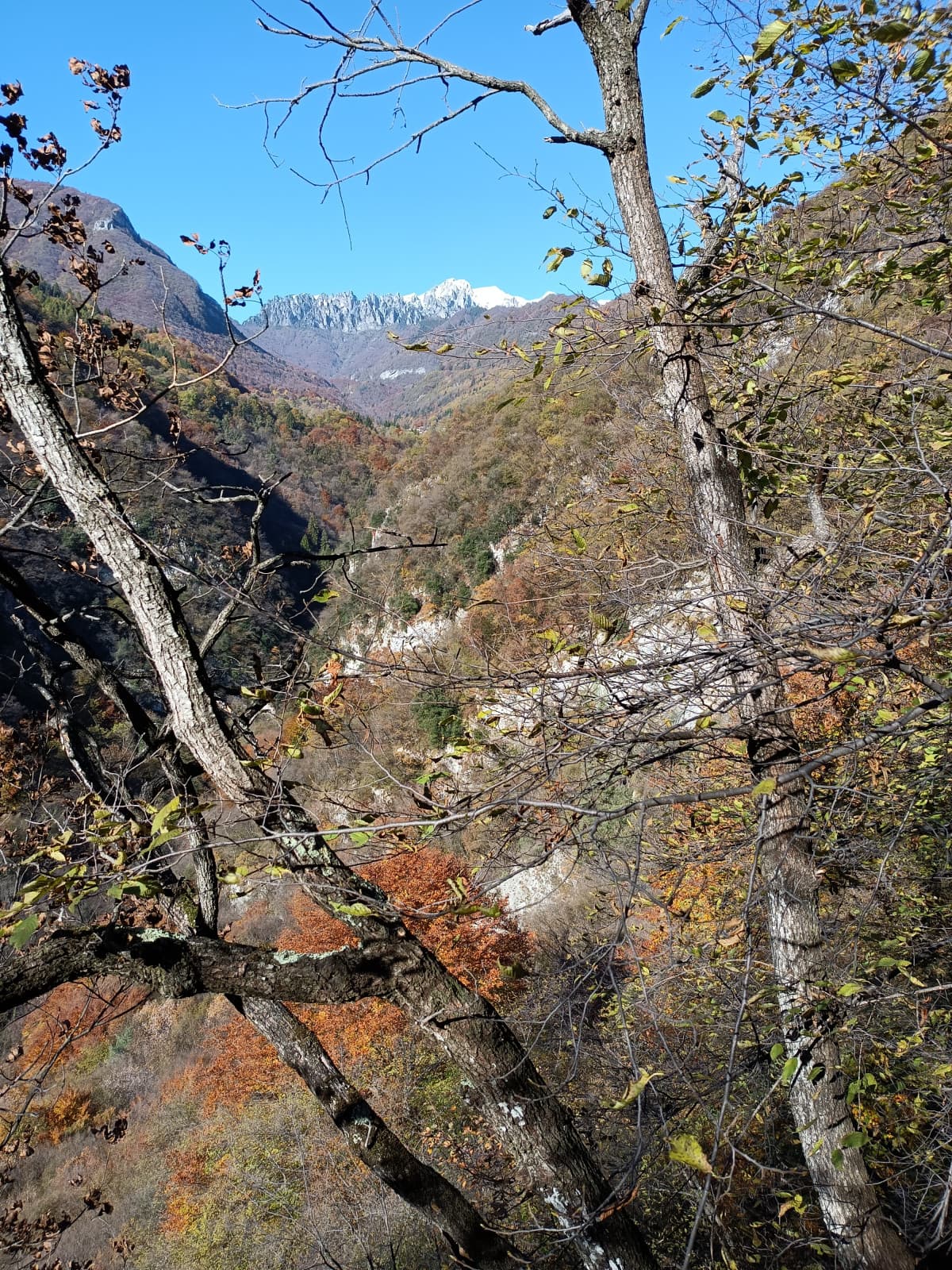 Una bella passeggiatina...