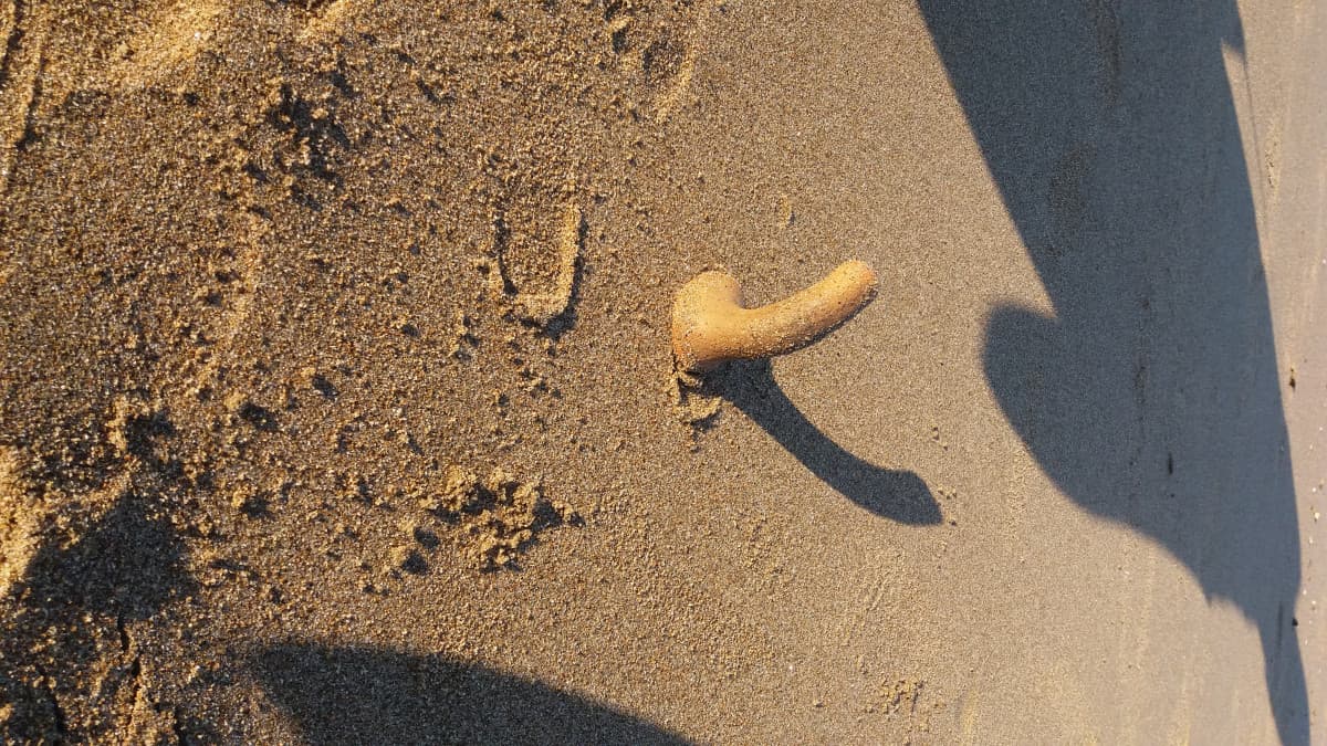 Un p**e in spiaggia