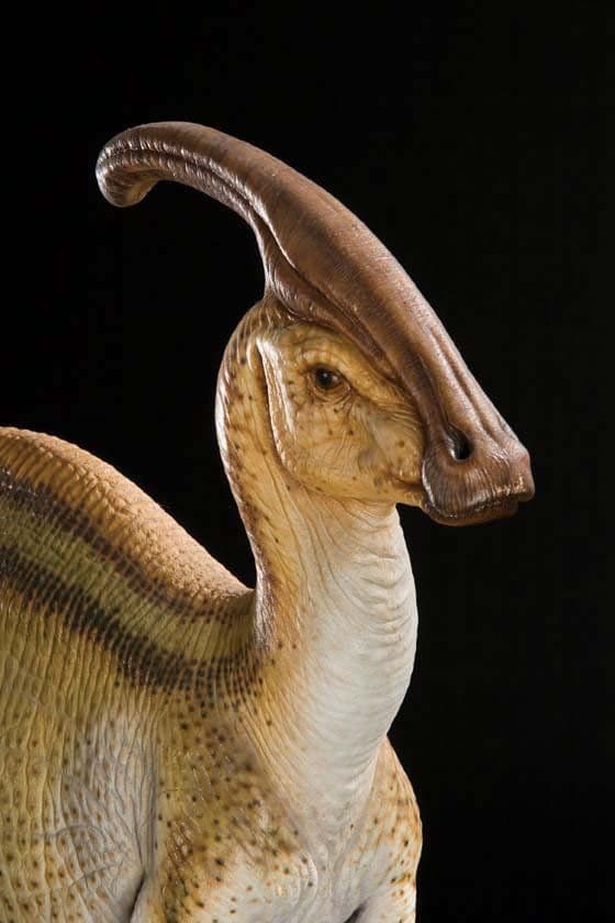 Parasaurolophus! 