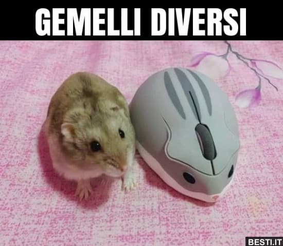 Voglio un mouse del genere au0bau0gau0vau0v