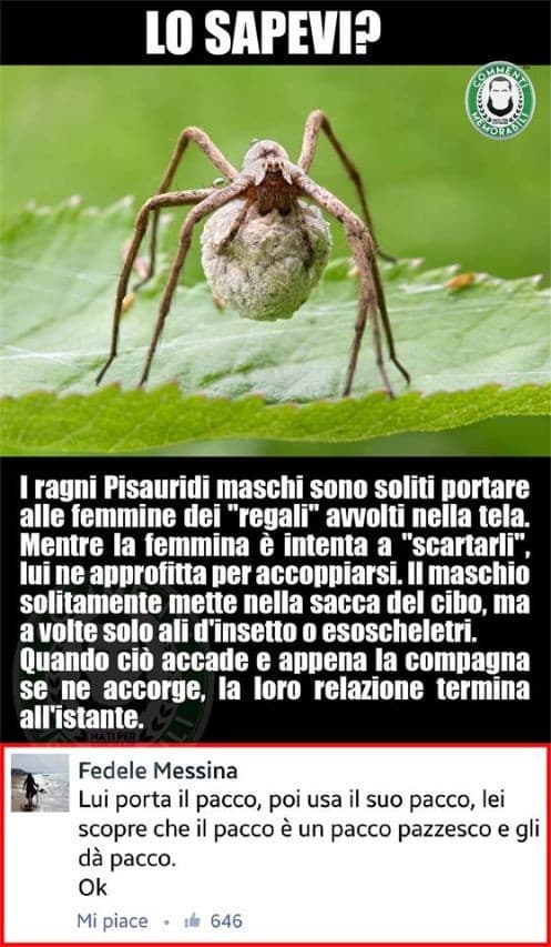 Cose interessanti...