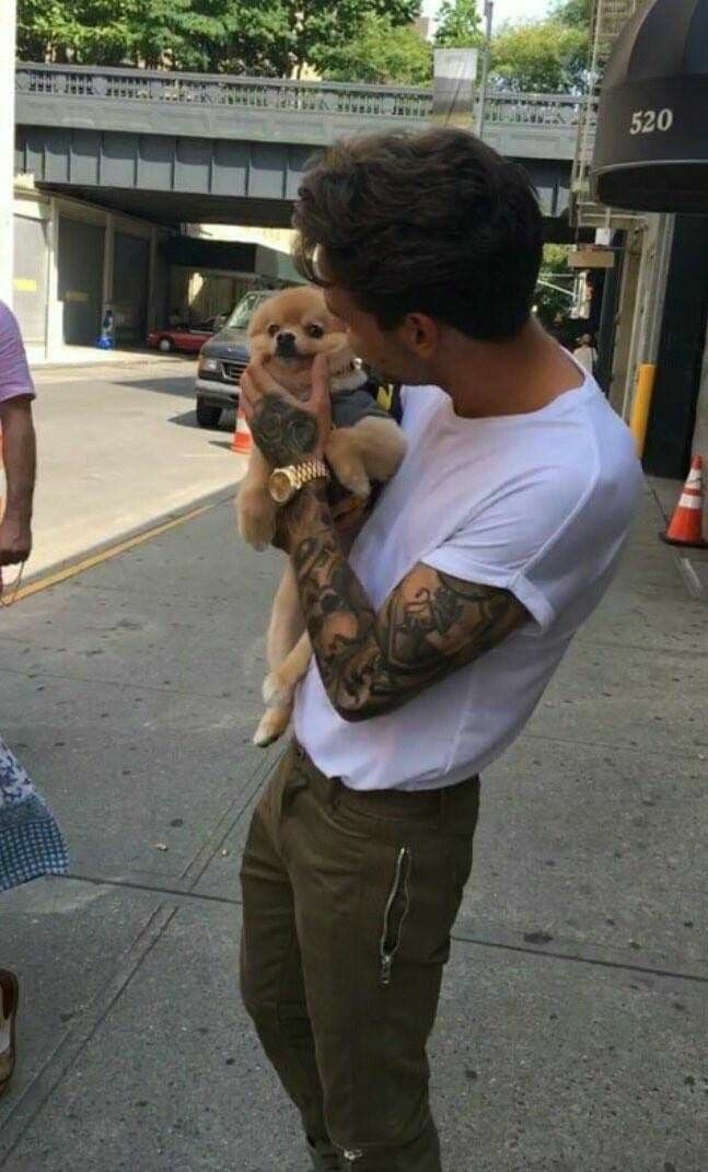 perché i miei non vogliono un gattino o un cagnolino, sono così carini ??