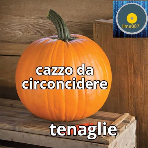 e niente fà gia ridere così