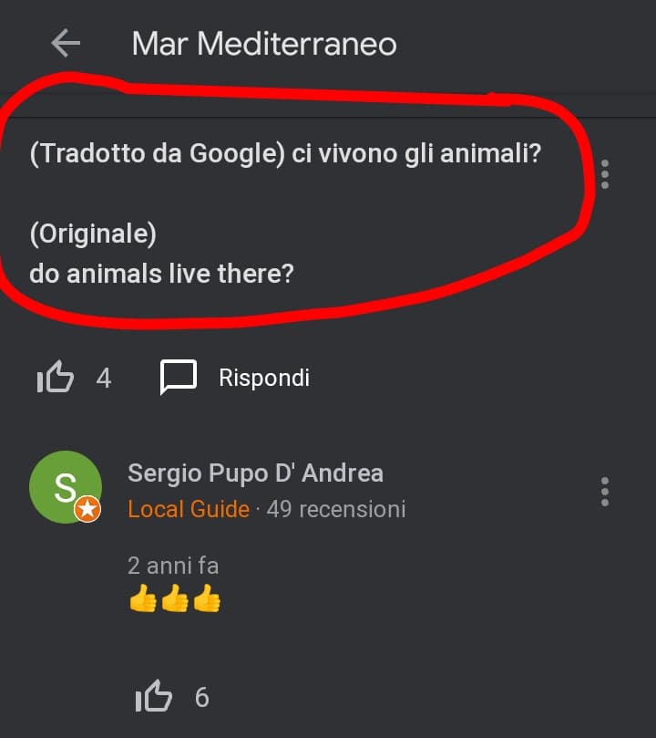 Ma la gente che cazzo di domande fa ahah