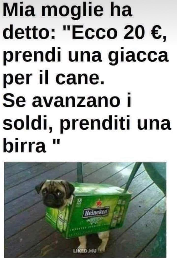 Severo ma logico