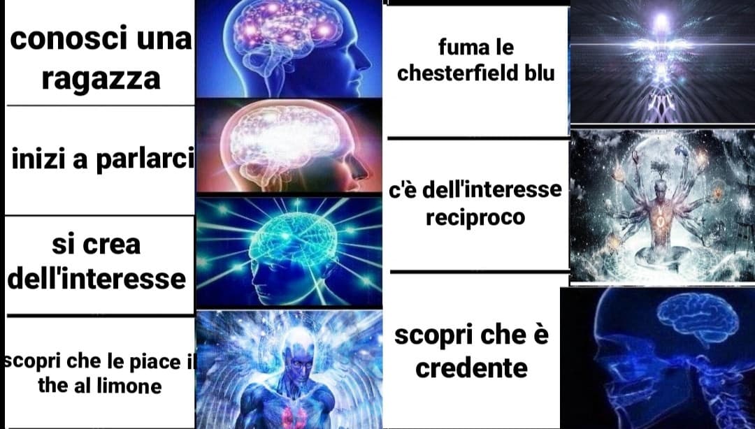 mi piacerebbe poter dire che è solo un meme