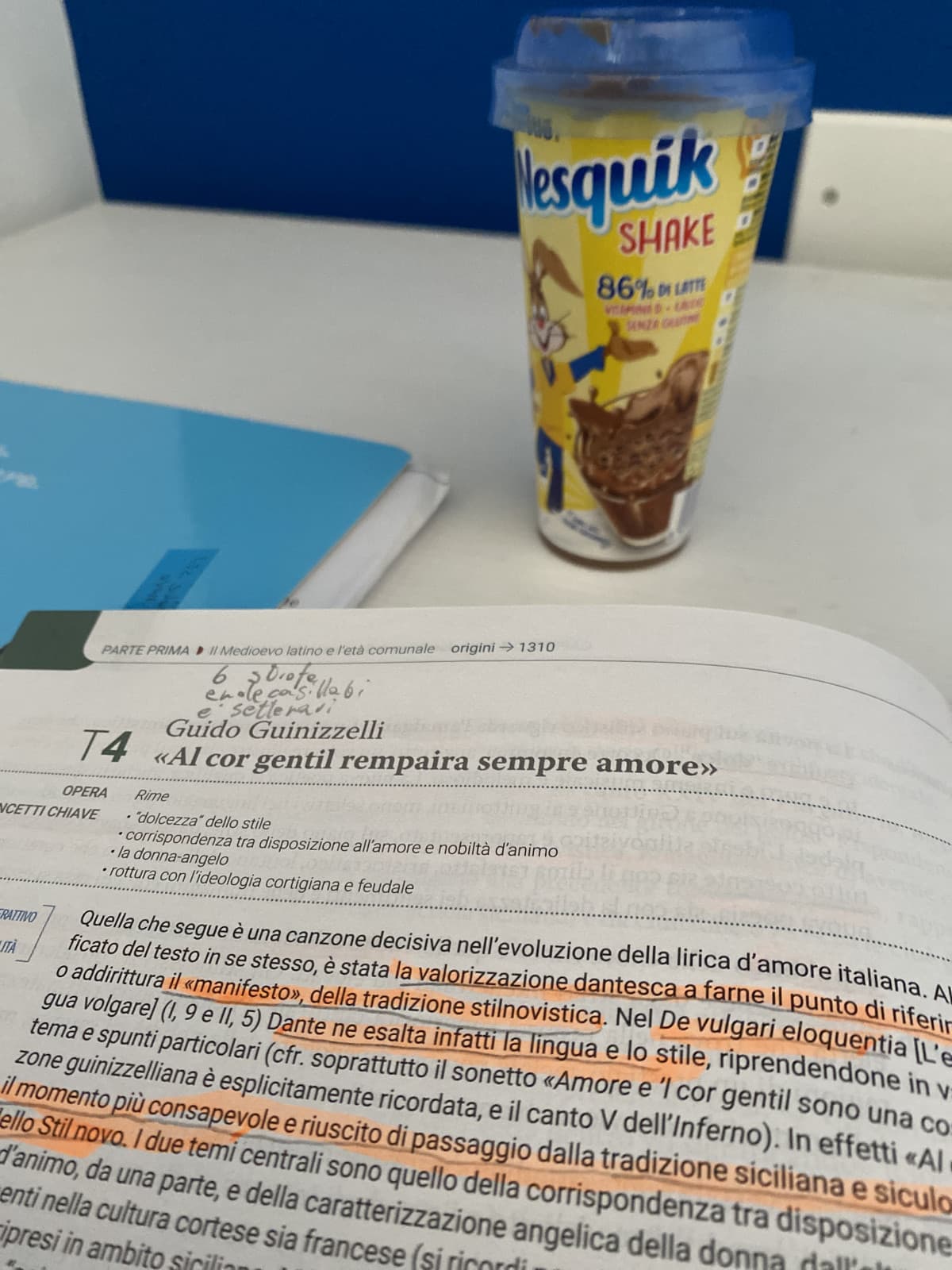 quanto cazzo è buono il Nesquik freddo 