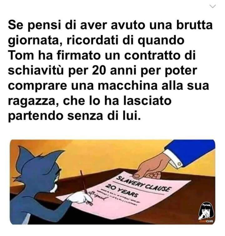 Ecco