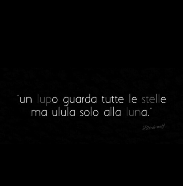 Un lupo guarda tutte le stelle ma...