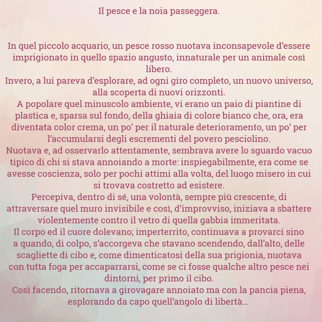 Il pesce e la noia passeggera 