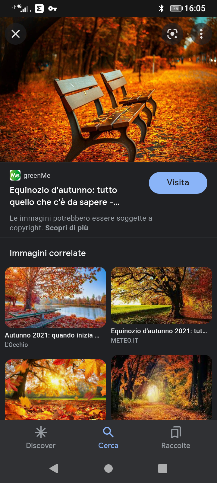 L'autunno è la mia stagione preferita.