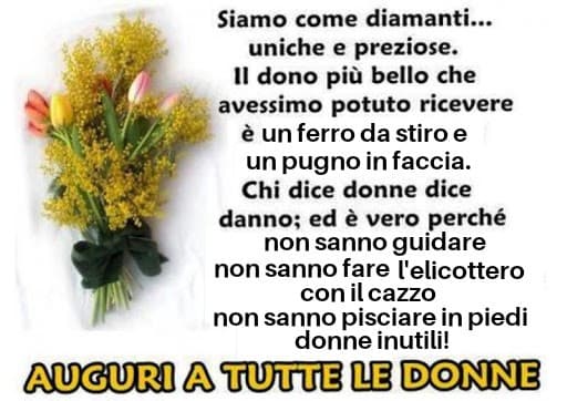 BUONA FESTA DELLE DONNE A TUTTE DONNE PREZIOSE DONNE GENITALI 