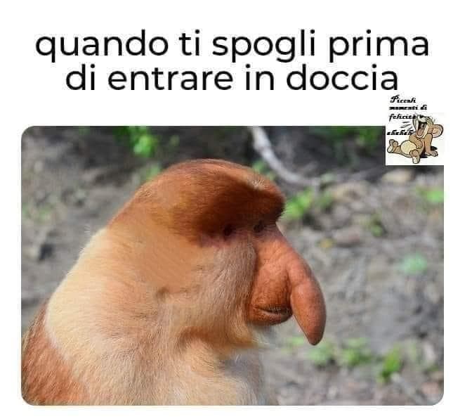 Rido che ti passa