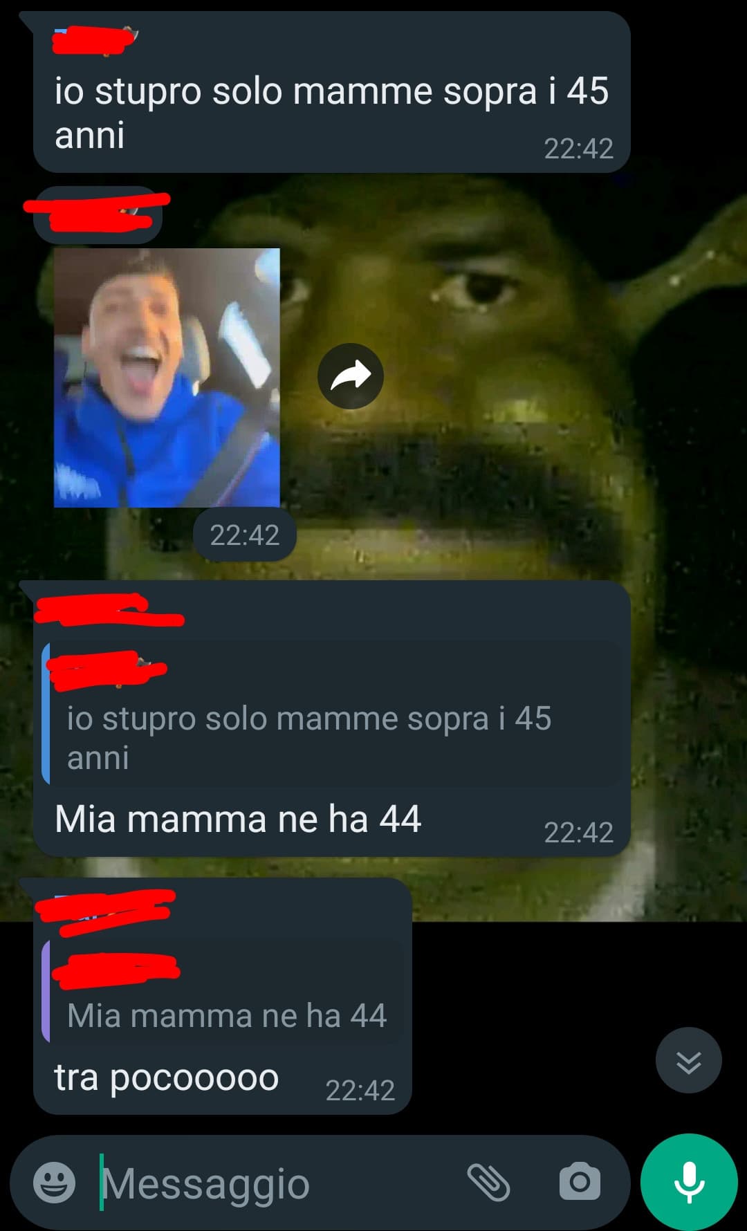 Pov: apri il gruppo WhatsApp dei tuoi amici e trovi questo 