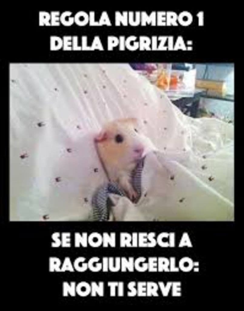 Le tavole delle leggi della pigrizia ?❤️