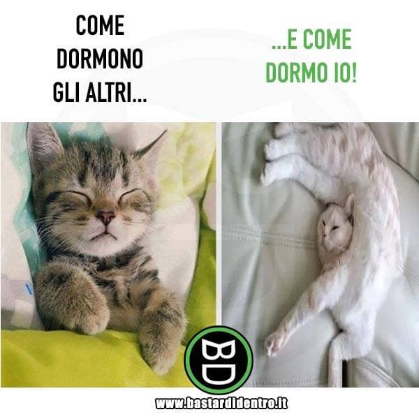 "Dormire" è una parola grossa