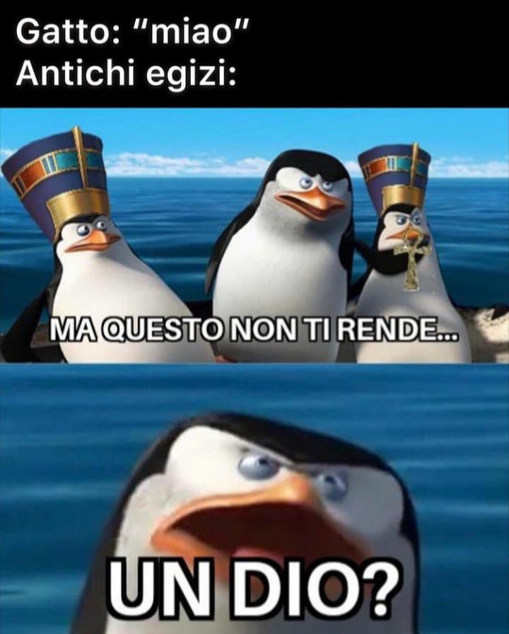 Ecco cosa mi manda mia madre 