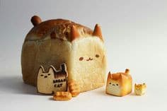 Cat bread