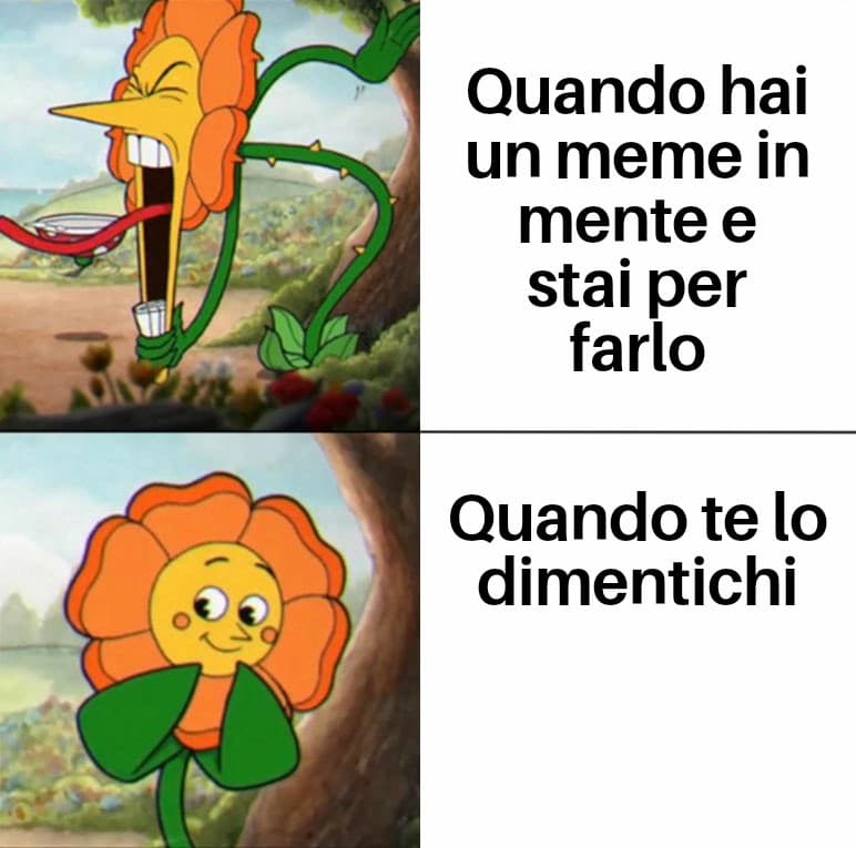 La mia vita riassunta in un meme