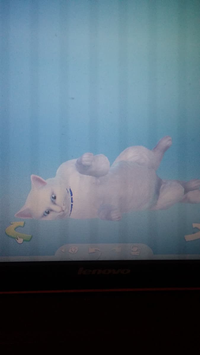 I miei gatti in versione the sims