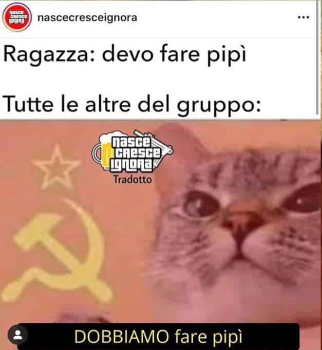 nasce cresce ignora