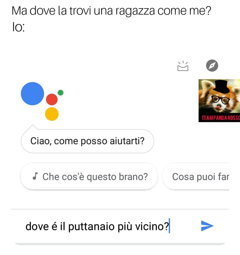 Grazie Google