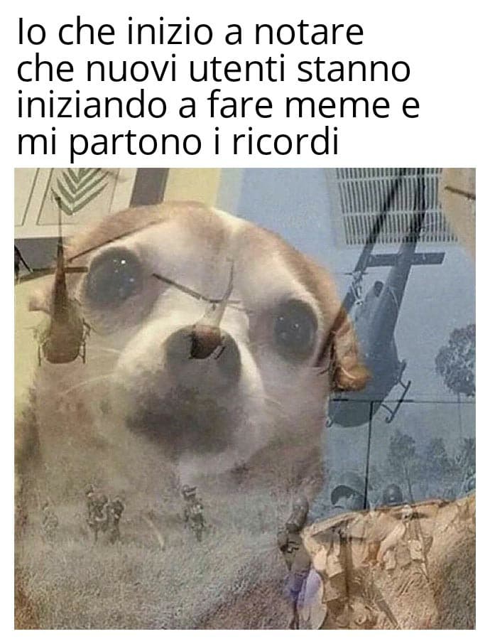 Daje che facciamo la nona crociata