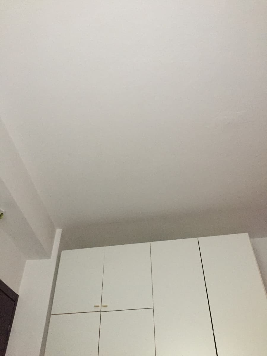 Mio dio ma che bello il soffitto!