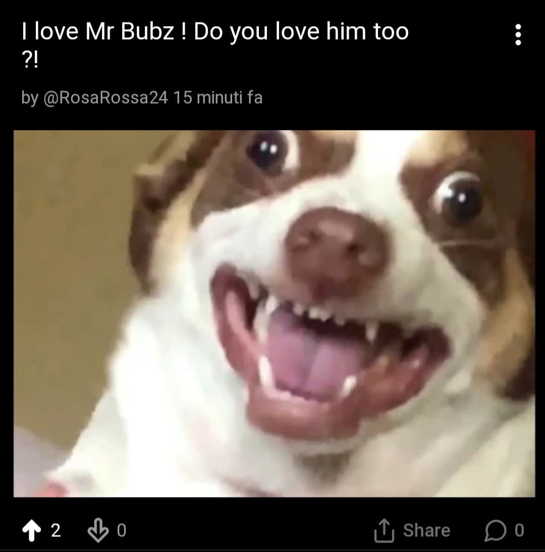 Why nobody loves Mr. Bubz ?!