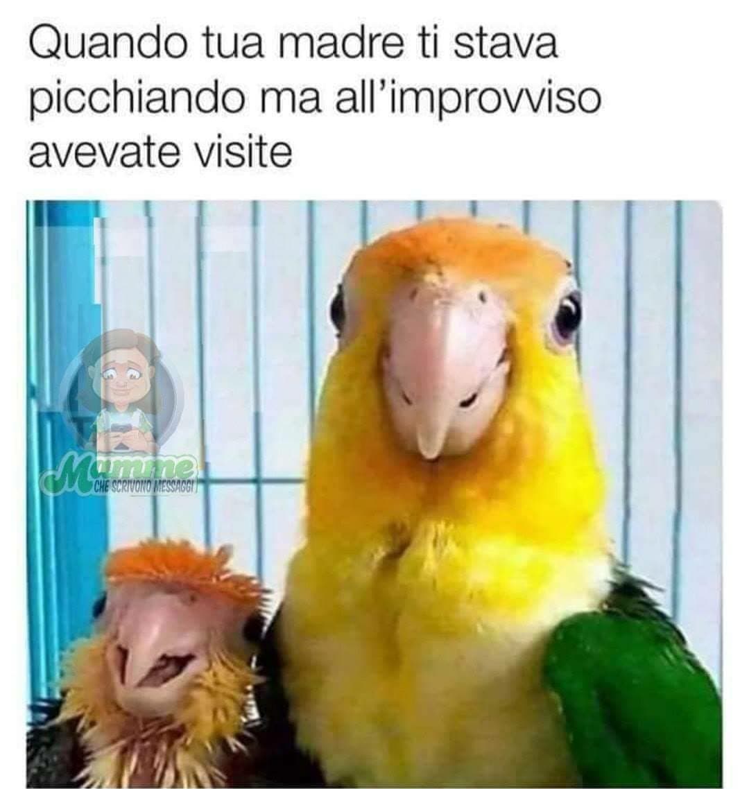 Uhhhh quanta verità 